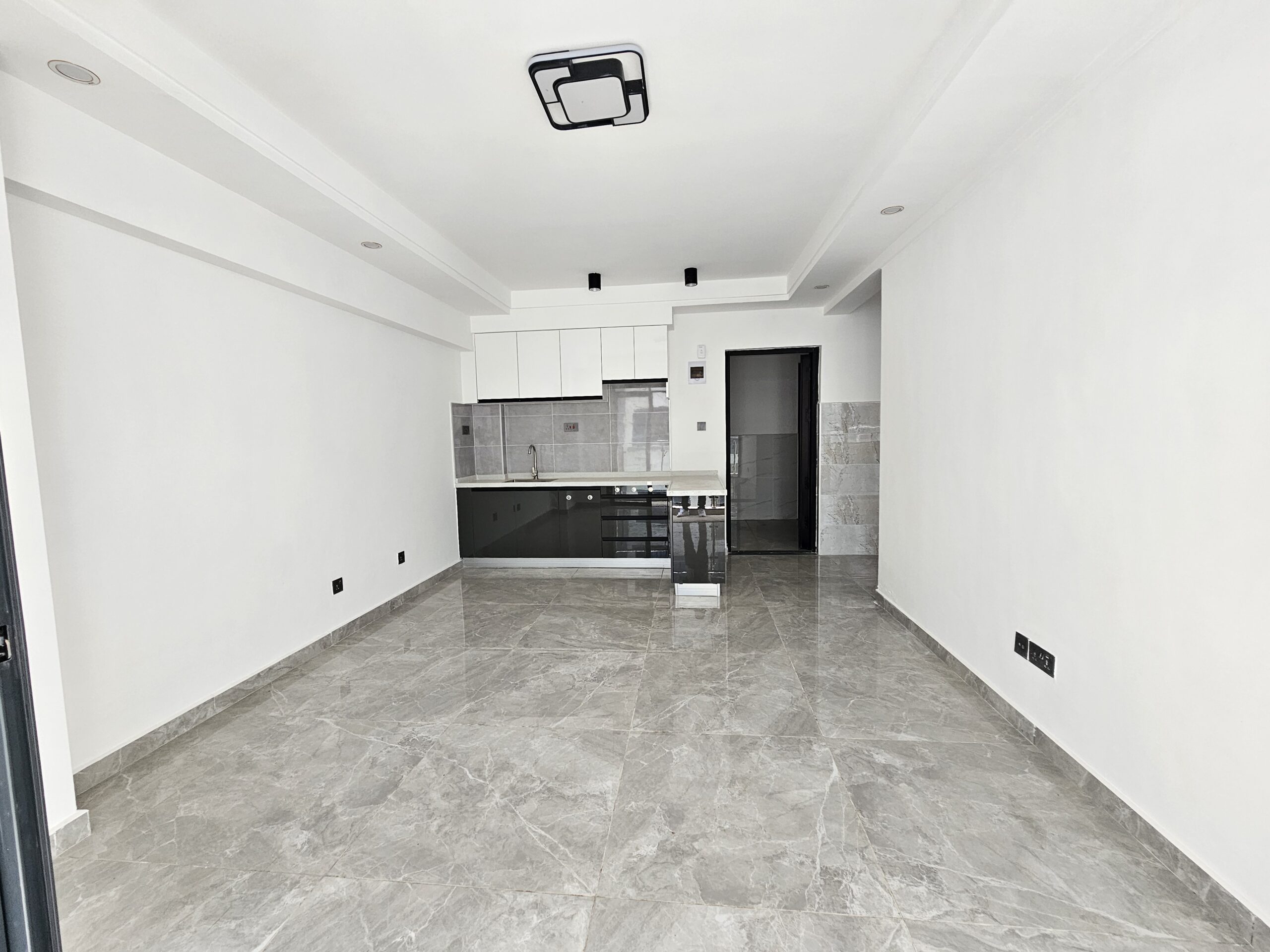 Adequately Spacious & Opulent1 BR Loft Apartment Lavington